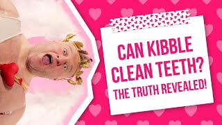 Is it True that Kibble Cleans Teeth? #Cupid #Dating #Kibble