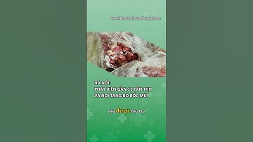Phát hiện gần 11 tấn thịt và nội tạng bò bốc mùi tại Hà Nội#canhbaoantoanthucpham #viral #shorts