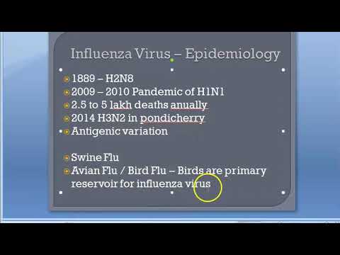 Microbiology 476 a Influenza H1N1 Flu Virus Virology Bird Swine H3N2 Avian