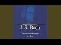 Miniature de la vidéo de la chanson Brandenburg Concerto No. 4 In G Major, Bwv 1049: Iii. Presto