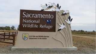 Sacramento National Wildlife Refuge, California