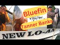 Winter bluefin tuna limits for most new loan sportfishing point loma landing san diego tanner bank