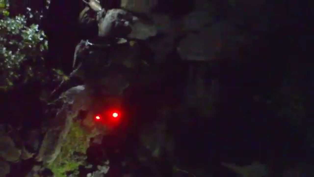 Gartenbeleuchtung Mit Led Leuchten 20 Watt H Youtube