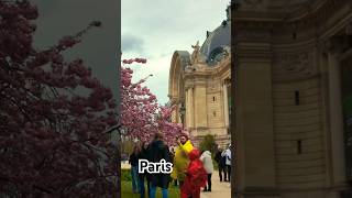 Paris #Foryou #Paris #Shortsfeed #Shortsvideo #Parisfrance #Shorts #Shortsviral