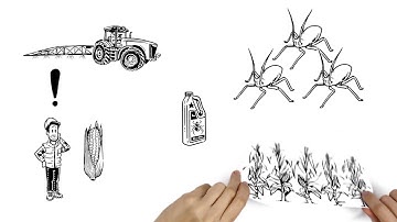 (English) Insecticide Resistance Management from IRAC