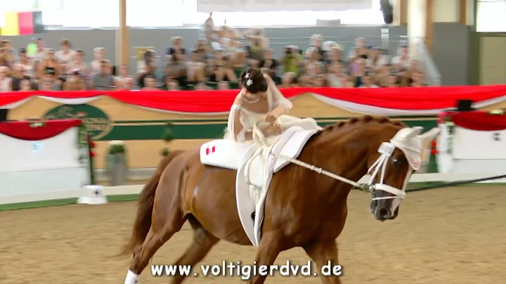 LisaWild (AUT) - FEI Senior EC Ebreichsdorf 2017 -...
