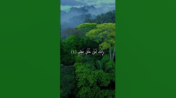 تلاوة من سورة القلم (١ - ٩) الشيخ عادل حسن