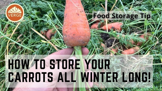 Root Vegetable Storage Bin - Potatoes, Carrots, Beets +More