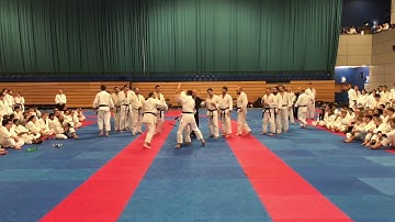 2017 Atemi Nationals Open Final - Sensei Tuke