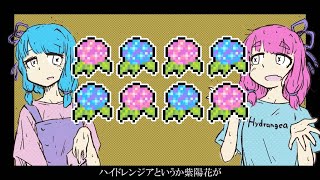ハイドレンジアは紫陽花