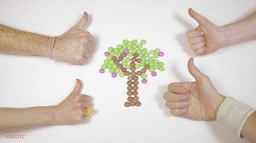 Handing on a sustainable future