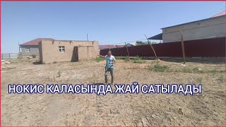 НОКИС КАЛАСЫНДА ЖАЙ САТЫЛАДЫ БАХАСЫ КЕЛИСИМЛИ