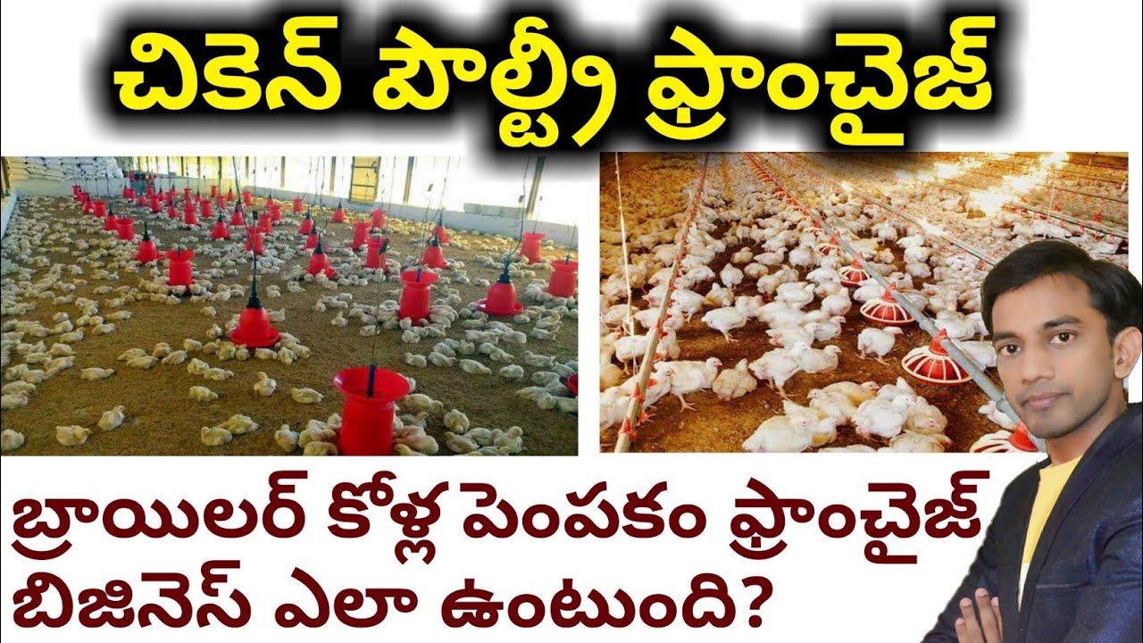 poultry farm business plan in telugu