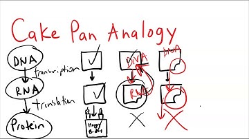 Homework Helper: Insertion and Deletion Mutations