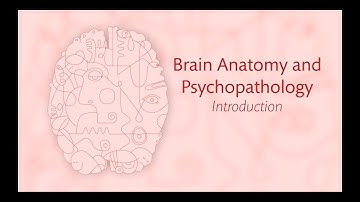 1.1 Introduction to Brain Anatomy and Psychopathology