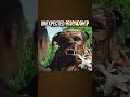 unexpected friendships in games...