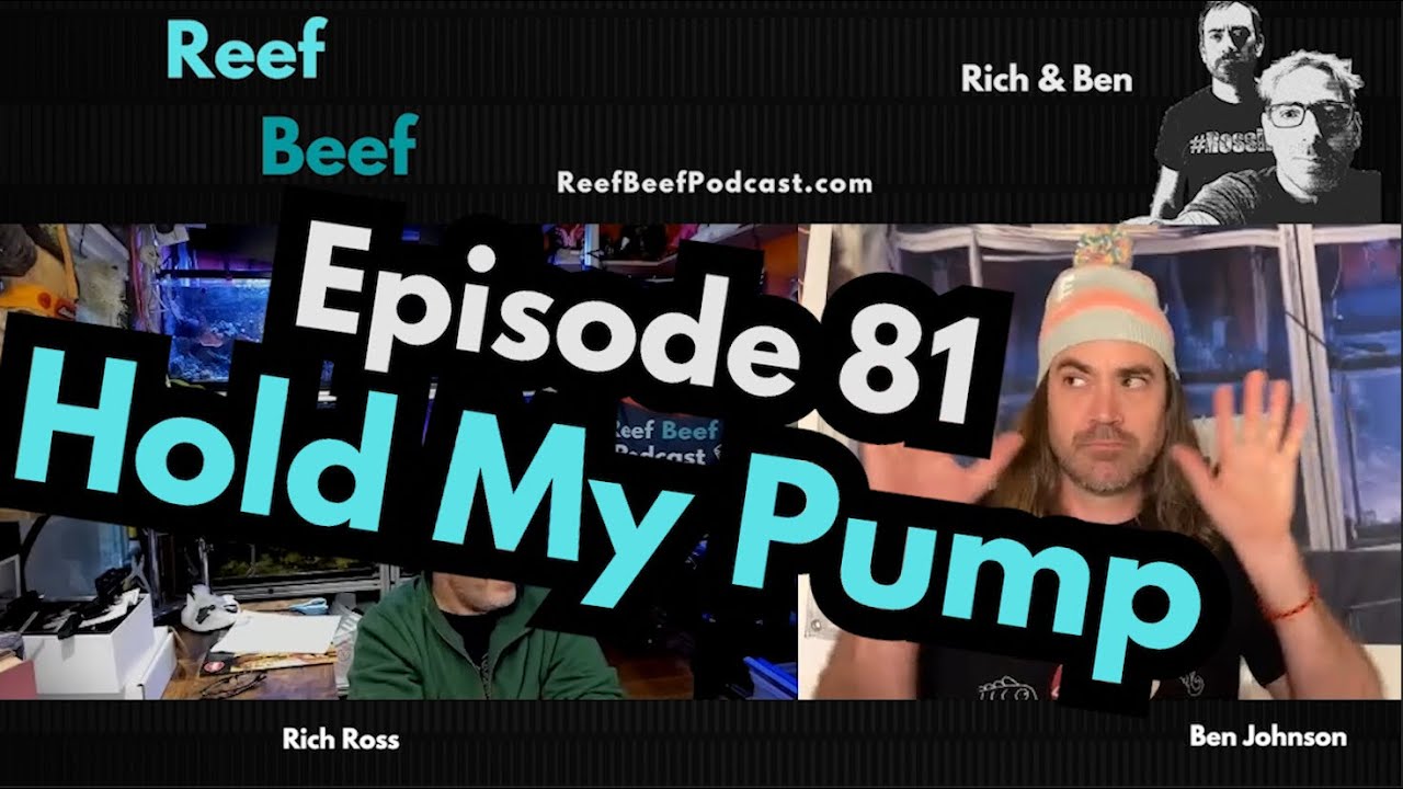 Hold My Pump - Episode 81 - Reef Beef Podcast

In this episode we talk about troubleshooting systems, the secret mechanical filter, and Ben’s systems.

Thank you to our sponsors:
Saltwater Aquarium: https://tinyurl.com/RBSaltwaterAquarium
Saltwater Aquarium Wholesale: https://tinyurl.com/SWAWholesale
Saltwater Aquarium Octopus Controller Cabinet: https://tinyurl.com/SWAOctoController
PolypLab: https://www.polyplab.com/
Champion Lighting: https://www.championlighting.com/
Champion Lighting Wholesale: https://www.championlightingdealer.com/

Links:
Filter: https://www.amazon.com/gp/product/B01C8PH0OI/ref=ppx_yo_dt_b_search_asin_title?ie=UTF8&psc=1
Merch is now available! http://reefbeefpodcast.com/merch/
Join our Discord: https://discord.gg/reefbeef
Get notified of new episodes by receiving an email from Reef Beef! https://reefbeefpodcast.com/notify/
Get our help / advice: https://reefbeefpodcast.com/consult/
Buy Reef Beef a Beer! https://reefbeefpodcast.com
Become a Member: https://reefbeefpodcast.com/membership

Time Stamps

00:00:00 Intro
00:00:54 Rich’s Aquarium Battery Backup
00:06:14 SPONSOR: SaltwaterAquarium.com
00:08:50 Ben’s Client’s used tank
00:16:59 Coral Babies
00:19:25 SPONSOR: PolypLab
00:20:28 Secret Mechanical Filter
00:35:14 Book Corner
00:40:26 SPONSOR: Champion Lighting
00:42:03 Ben’s Client trusts Ben…
00:58:37 Rich’s Beef
01:11:03 Wrap Up
01:11:50 Bloopers


#ReefBeef #MechanicalFilter #AquariumFilter