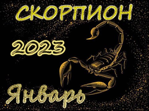 Гороскоп Скорпион На январь 2023