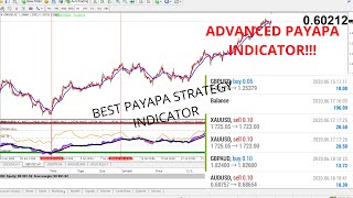 BEST PAYAPA STRATEGY WITH ADVANCED INDICATOR