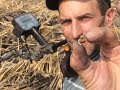 Золото под ногами!Лунница 2-3 век н.э.Что показал МД Minelab X-terra 705.Реакция камрадов.Фильм 157