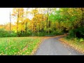 Fall colors on display in rentschler park