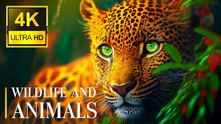 Unique Animal Collection - 4K (60fps) Ultra HD - With Natural Sounds (African Animal Nature)