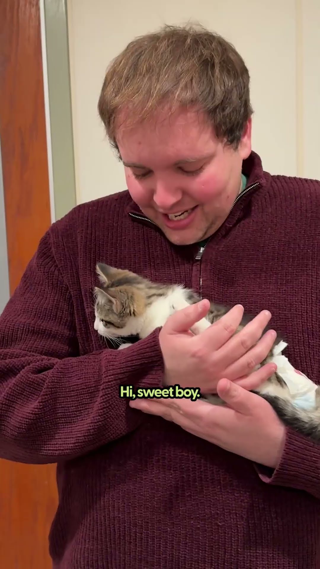 Meet A 3-Month-Old Paraplegic Kitten | The Pack