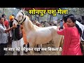 सोनपुर घोड़ा बाजार का काला सच आपको हैरान कर देगा | Sonpur Mela 2022 | Horse Mandi in Bihar