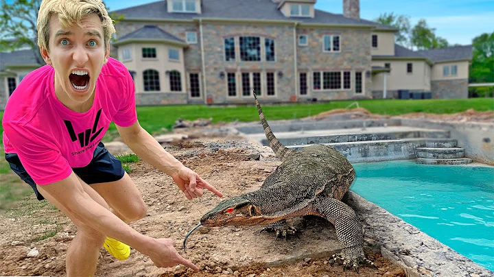 Massive Alligator in my BACKYARD SWIMMING POOL!!