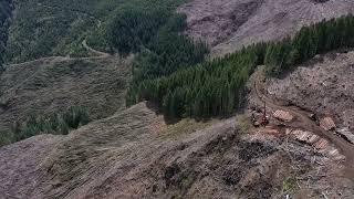Western Oregon Yarder Logging