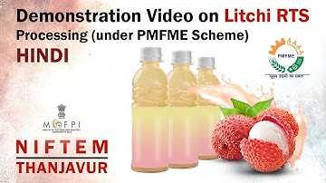 Demonstration Video on Litchi RTS Processing (under PMFME Scheme) - HINDI