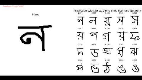 Training a k-way one-shot classification model with Siamese Network with python