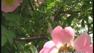 картинка: Светът и всичко в него със СИМЕОН ИДАКИЕВ (03.03.2014г. 1-ва част)