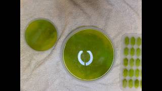 Green Rune Set #0072