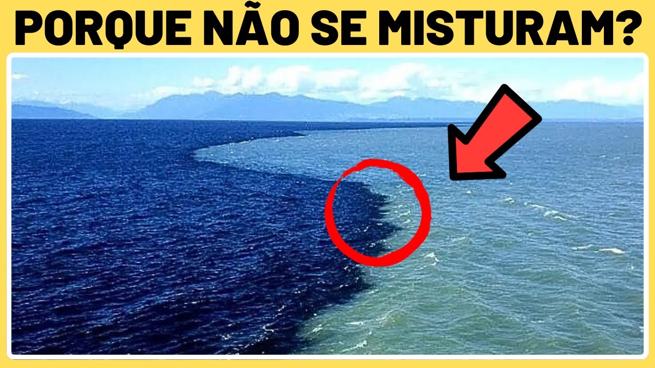 🪧 Porque o Oceano Atlântico e o Pacífico não se misturam? O Que Não Te ...