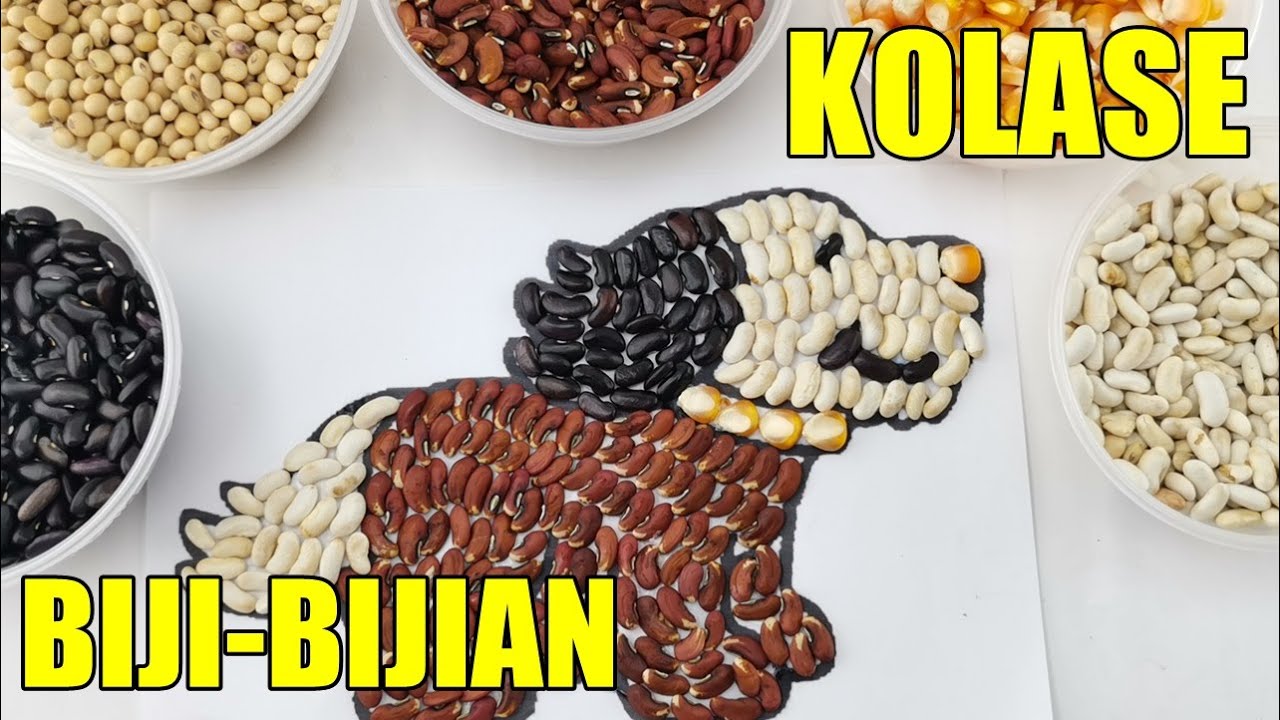 Anjing Pintar Cara Membuat Kolas Dari  Biji  Bijian  Kacang By