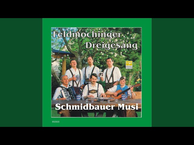 FELDMOCHINGER DREIGESANG & SCHMIDBAUER MUSI - S'Häusl am Roa