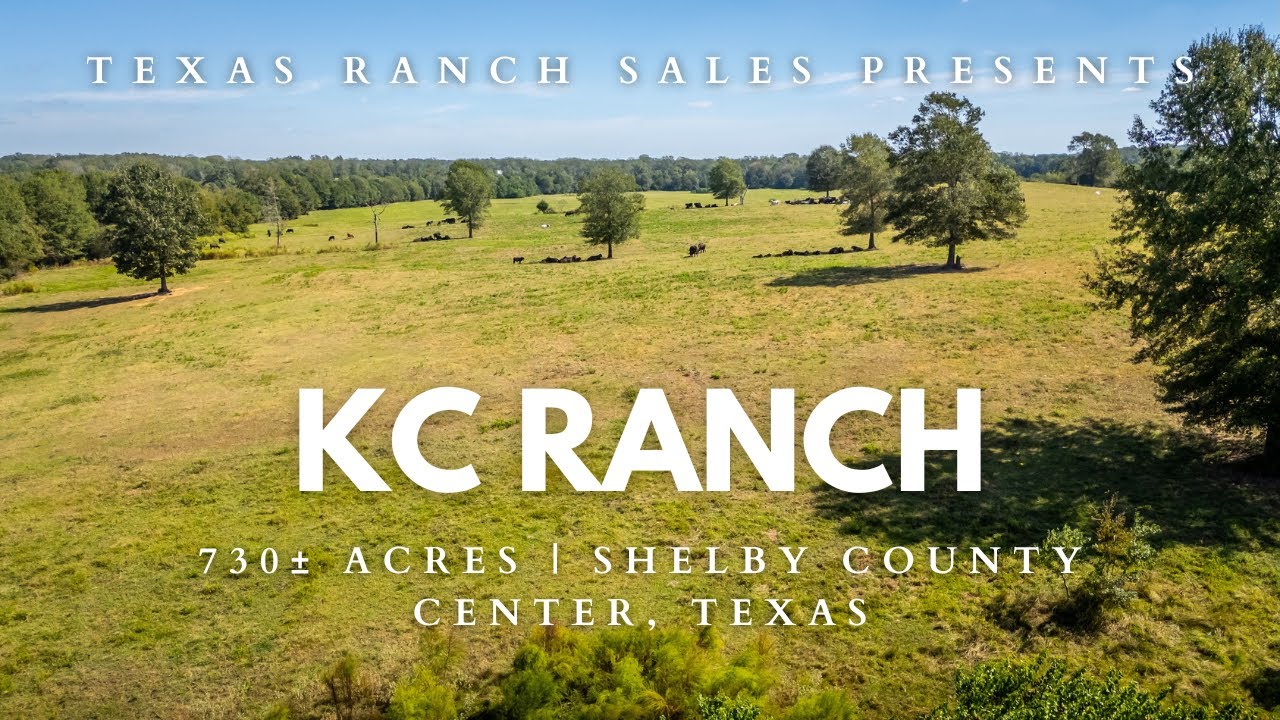 Kc Ranch Siege KC Ranch | 730± Acre Cattle Ranch near Center Texas - YouTube