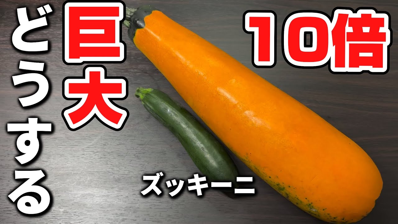 ドデカズッキーニ！ 衝撃】プロの手にかかるとデカいズッキーニもこうなる - YouTube