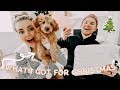 What I Got For Christmas 2018! MEET MY NEW PUPPY! | Aspyn Ovard