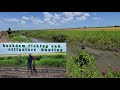 backdam fishing and alligator catching in mahaicony guyana..arial and ground footage.