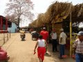 YO SOY DE APURE CRIOLLITO