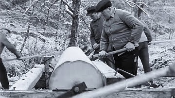 Oak Log on a Lathe: The Art of Handcrafting a Unique Piece