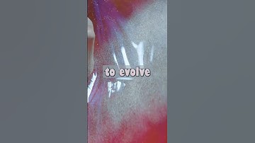 Unveiling the Art of Living: Nurturing Love and Personal Growth