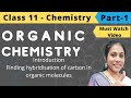 Organic Chemistry | Class 11 Chemistry | Hybridisation | structure of molecules | Part 1
