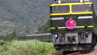8002レ トワイライトエクスプレス EF81-114牽引(2008-07-21)