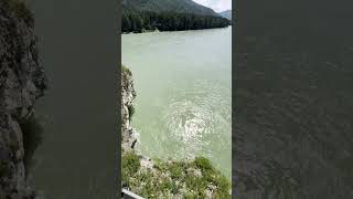 парк Рериха Березовая Катунь #dreamway #Алтай #Россия #travel #shortsvideo #shorts #природа #nature