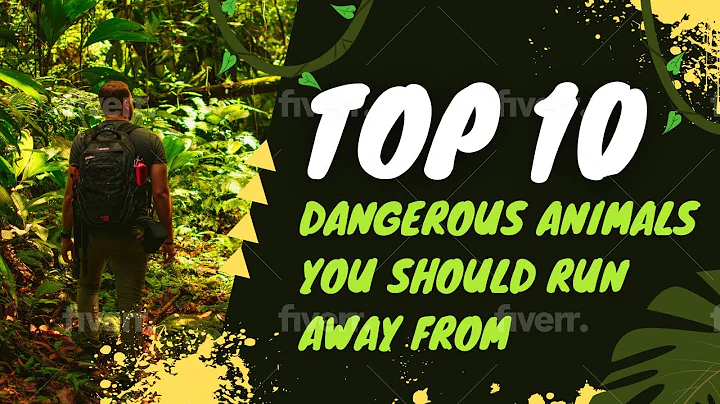Top 10 Dangerous Animals You Should Run Away From