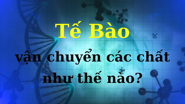 Bào quan nào được nối với màng ngoài của nhân năm 2024