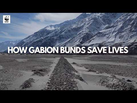 How Gabion Bunds Are Protecting Communities from Future Floods | WWF-Pakistan
